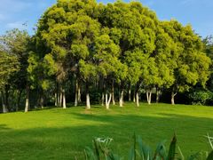 -厦门国家会计学院