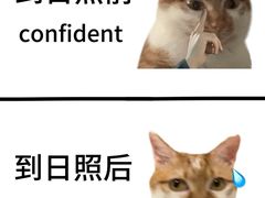 -巧克力渔家.小船海鲜家常菜(万平口店)