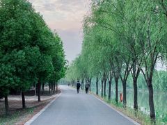 -广富林郊野公园