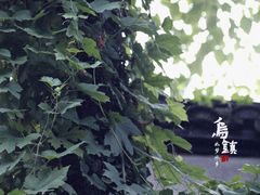 -乌镇东栅景区-应家桥皮影戏馆