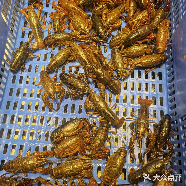 打卡蚌埠排名第一的龙虾土菜-阿财老铺