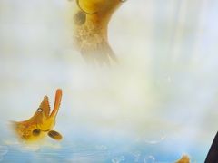 -徽三说·土徽菜·中国徽菜连锁品牌(一中店)