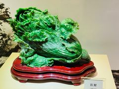 -绮丽珊瑚博物馆(台东店)