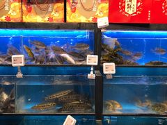 水产区-盒马鲜生(宝地店)