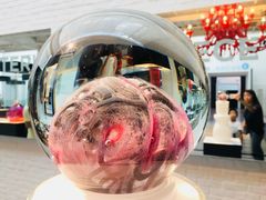 -上海昆虫博物馆