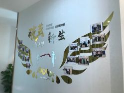 -丽美妍医疗美容·皮秒·立体分层抗衰