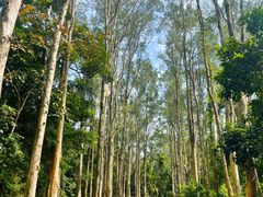 -西湖区图书馆(古墩路)