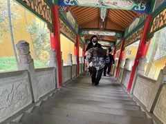 -鸿运楼·舌尖上的徽菜