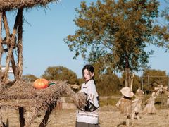 -长兴太湖图影湿地文化园