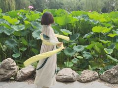 -莲湖公园