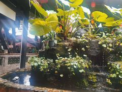 -园林美食城·本土农家菜(杨和镇店)