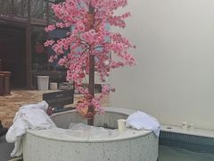 -海德温泉生活馆(朝阳大悦城店)