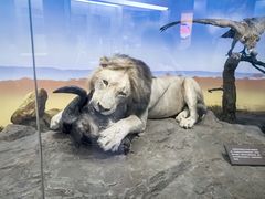 -国家自然博物馆