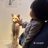 重庆周边游攻略