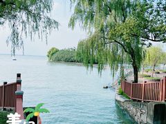 -东方绿舟景区