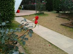 -人民公园(罗湖区)