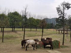 -杭州野生动物世界