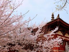 -西安青龙寺遗址景区