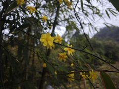 -贵阳市花溪国家城市湿地公园