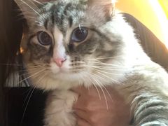 -白兔子密室(长寿路店)