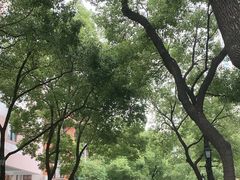 -飞马旅黎黄陂路文旅街区