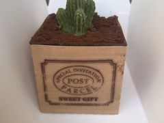 -格兰西点(淘金店)