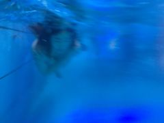 -重庆海昌加勒比海水世界