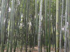 -汇龙潭