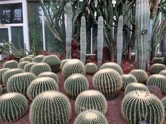 -昆明植物园