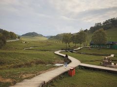 -关山草原