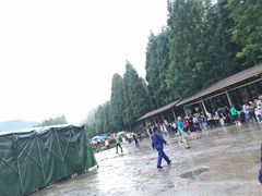 -武陵山森林公园
