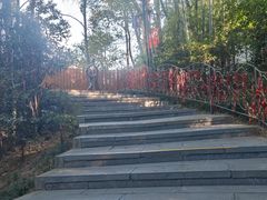 -天目湖山水园