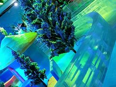 -芜湖方特东方神画