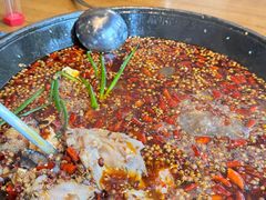 -麻开花·富顺豆花鱼火锅(凤凰城店)
