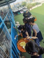 -小蜜蜂农场(凯德七宝购物广场店)