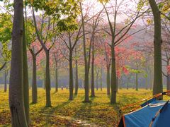 -风云岭森林公园