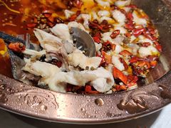 -雲蜀龙阁·金牌水煮鱼(方庄店)