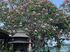 -海南文笔峰盘古文化旅游区