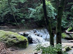 -香炉山国家森林公园