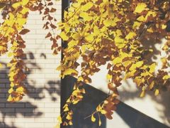 -江南大学(蠡湖校区)