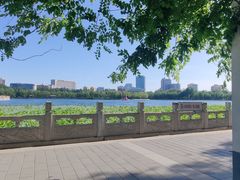 -莲花池公园