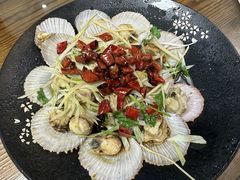 -鲁前海沿儿