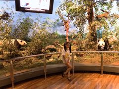 -陕西自然博物馆