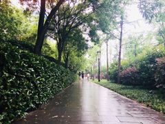 -唐城墙遗址公园