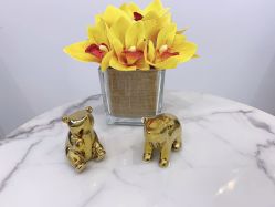 -MIVI野生眉纹绣纹眉