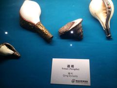 -青岛贝壳博物馆