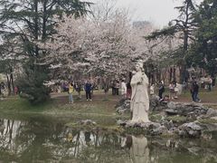 -堤角公园
