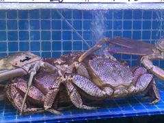 -震海贝烤贝·民俗特色店(延吉总店)