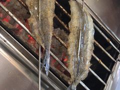 -小寒羊烧烤(凯瑞时代大厦店)