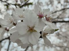 -西北湖绿化广场